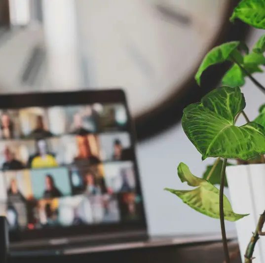 Laptop con una videollamada de muchas personas, al lado de una planta.